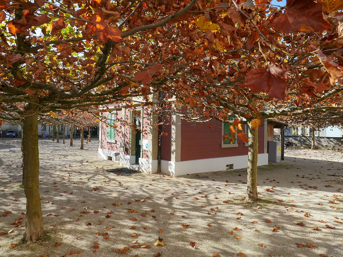 Blick über das Unitoble-Gebäude